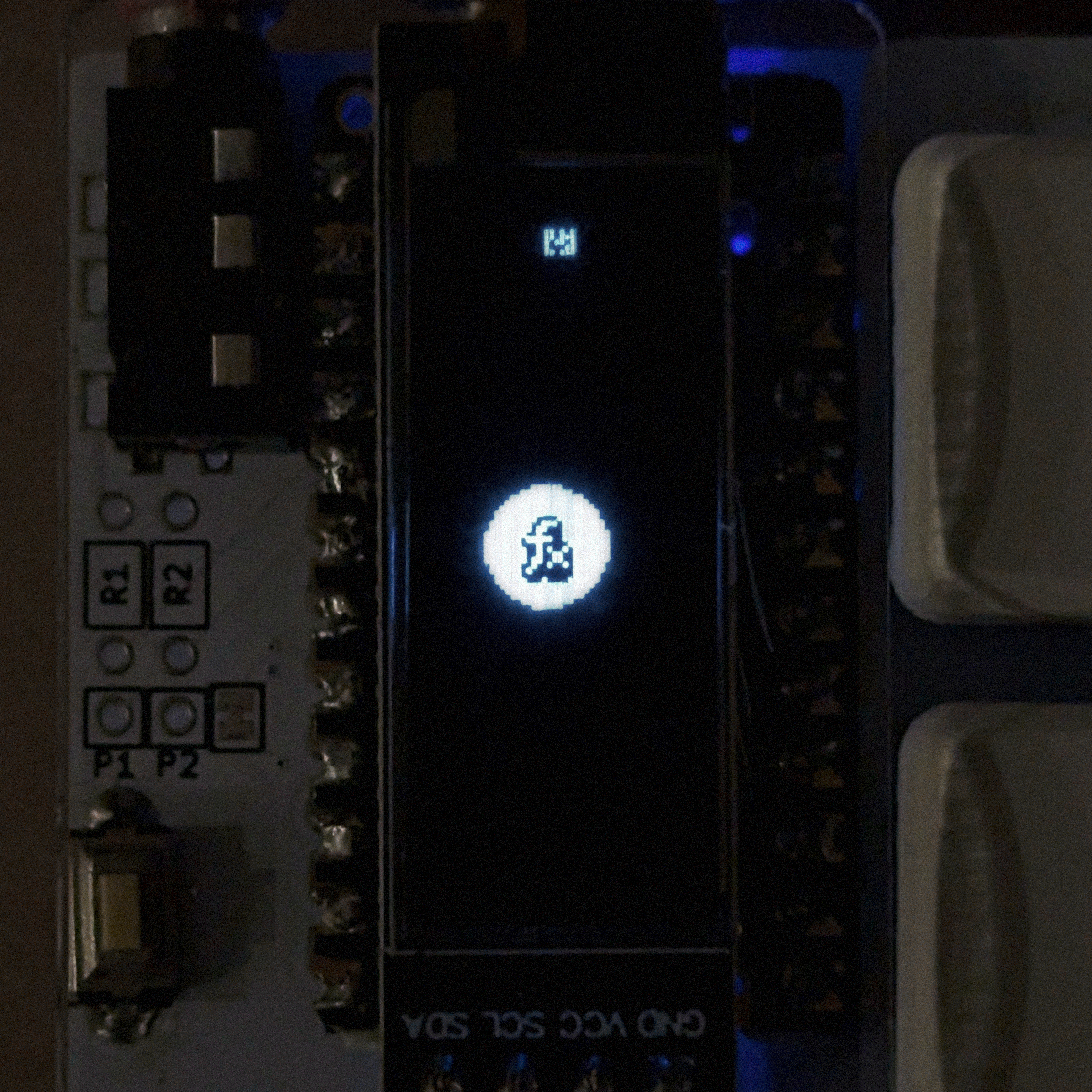 close-up photo of the OLED screen