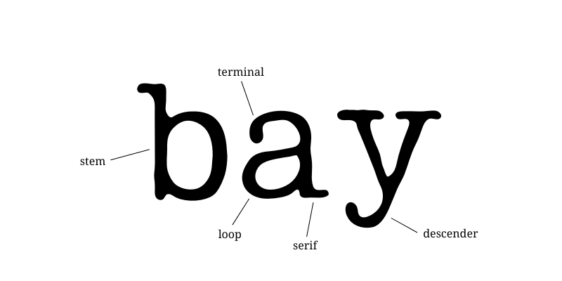 Elements of Latin typography, partial anatomy