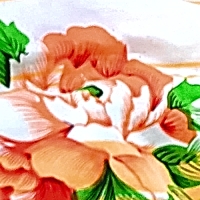 close-up of a flower on the real blanket