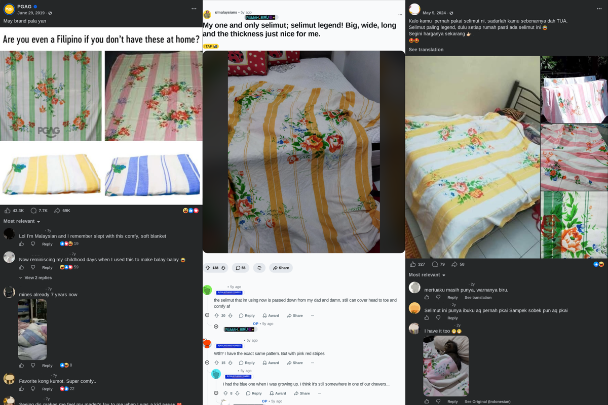 screenshot of social media posts from Philippines, Malaysia, and Indonesia commenting about the blanket